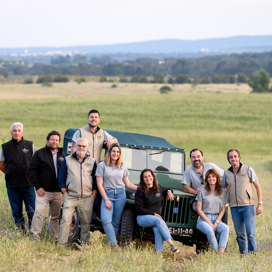 Our team
