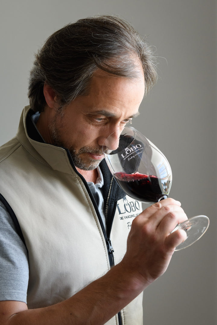 Manuel Lobo
